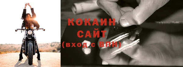 гашик Новозыбков